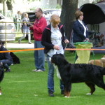 DSC08865