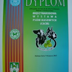 DSC09805